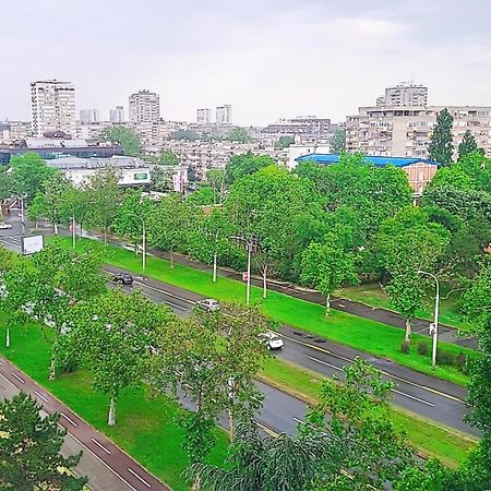 Grey Apartment Belgrad Dış mekan fotoğraf