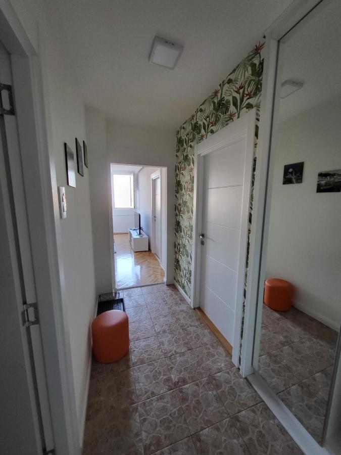 Grey Apartment Belgrad Dış mekan fotoğraf