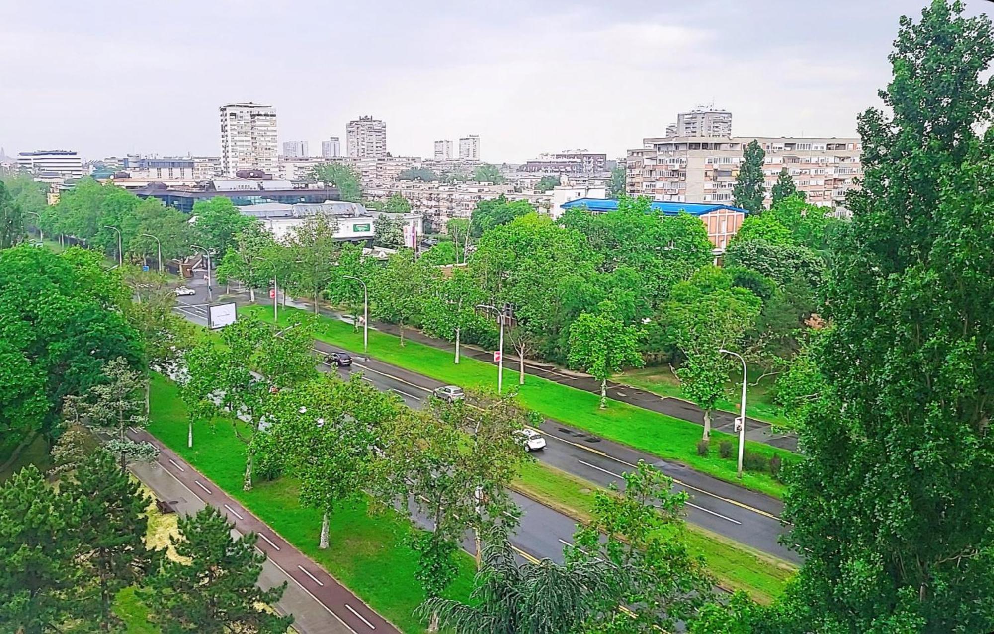 Grey Apartment Belgrad Dış mekan fotoğraf